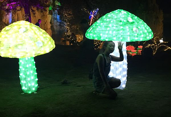 三圣花乡旅游区第 30 张图片