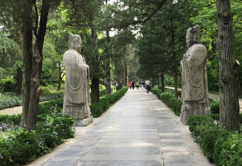 石象路第 10 张图片