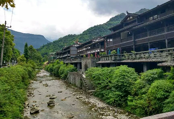 金佛山第 138 张图片