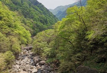 云雾山风景区第 13 张图片