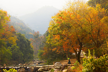 石门国家森林公园第 43 张图片
