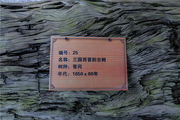 观音山旅游风景区第 14 张图片