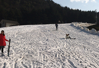 玉舍雪山滑雪场第 28 张图片