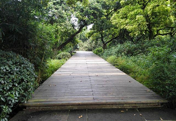 张坝桂圆林旅游区第 25 张图片