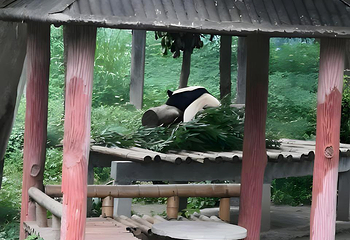 重庆动物园第 226 张图片