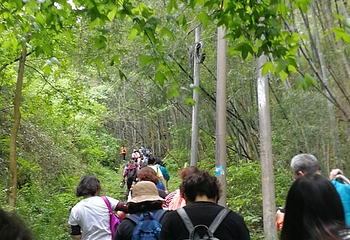 上青古道第 7 张图片