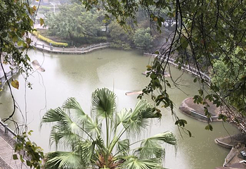 云洞岩风景名胜区第 140 张图片