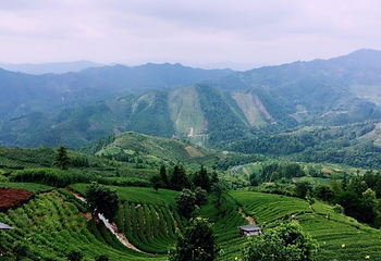 仙人山景区第 41 张图片