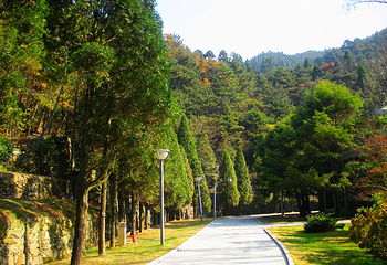 庐山风景名胜区-庐山博物馆第 23 张图片