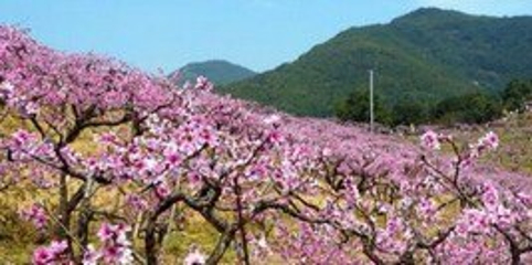 神农天池景区第 28 张图片