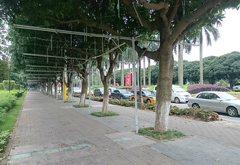 兴中道第 10 张图片