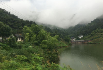 天紫漂流第 20 张图片