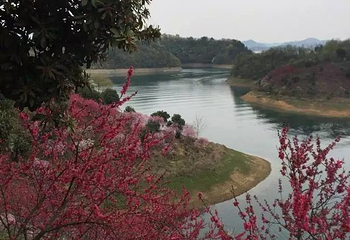 武宁花源谷第 28 张图片