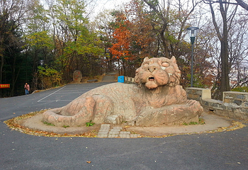 玉皇山公园第 13 张图片