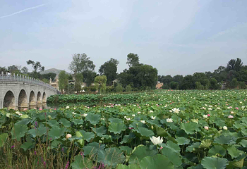 贾平凹故居第 7 张图片