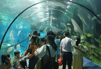 福州罗源湾海洋世界旅游区第 75 张图片