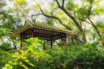 中山公园第 19 张图片