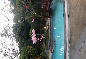 灵秀温泉第 64 张图片