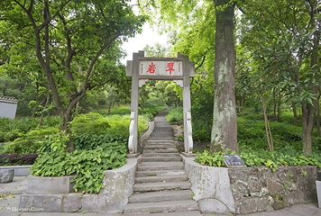西樵山风景名胜区第 19 张图片