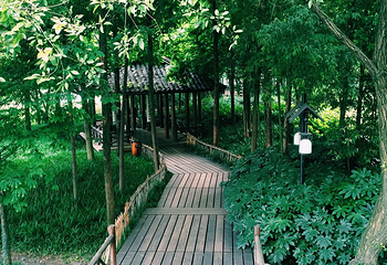 茅家埠景区第 14 张图片