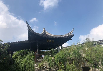 观潮胜地公园第 41 张图片