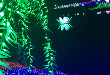 香草湖梦幻灯光节第 20 张图片