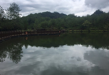 九龙湖第 19 张图片