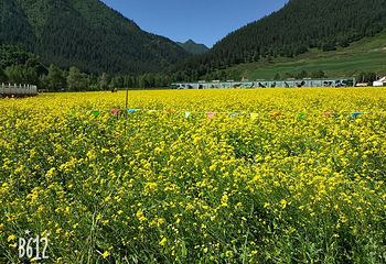 扁都口生态休闲旅游区第 18 张图片