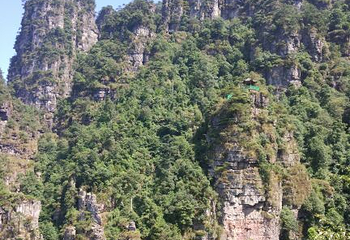 广西大瑶山国家级自然保护区第 30 张图片
