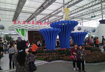 第六届山东花博会第 3 张图片