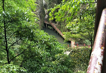 洒金谷景区第 19 张图片