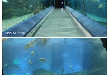 福州罗源湾海洋世界旅游区第 83 张图片