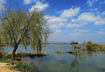 金沙桂花温泉第 14 张图片