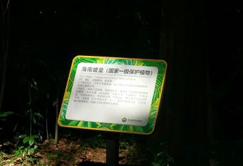 海南热带植物园第 14 张图片