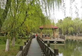 苏州中国花卉植物园第 52 张图片