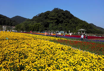 石门国家森林公园第 42 张图片