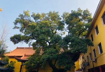 佑民寺第 27 张图片