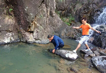 叫水坑原始森林第 12 张图片