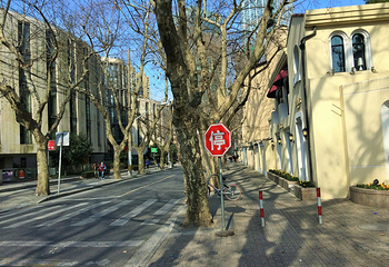 汾阳路第 22 张图片