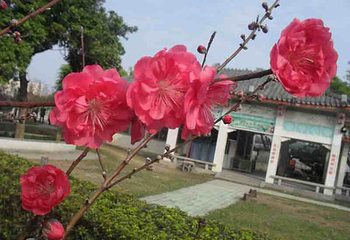 潮州市韩江碧道湘桥区段-凤凰洲公园第 7 张图片