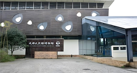 成都大熊猫繁育研究基地第 9 张图片