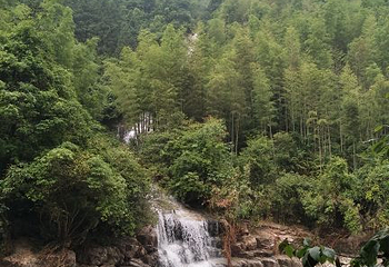 桂林猫儿山第 59 张图片