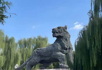 北京海洋馆第 127 张图片