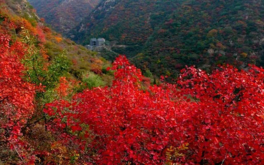 长寿山第 28 张图片