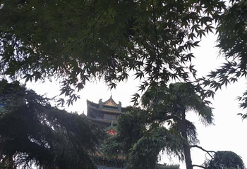 达摩古洞第 33 张图片