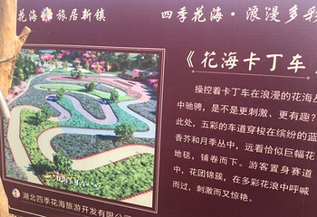 英山四季花海景区第 78 张图片