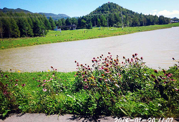 红池坝高山草场第 21 张图片