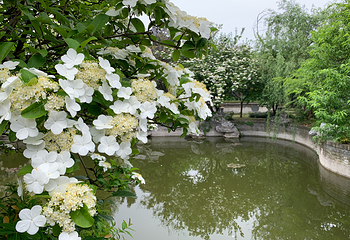 琼花观(文昌中路)第 26 张图片