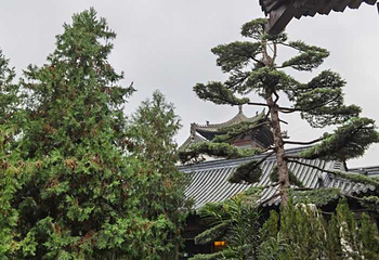 终南山观音禅寺第 6 张图片