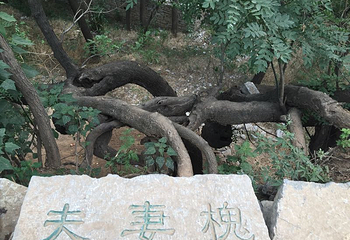 玲珑山第 8 张图片